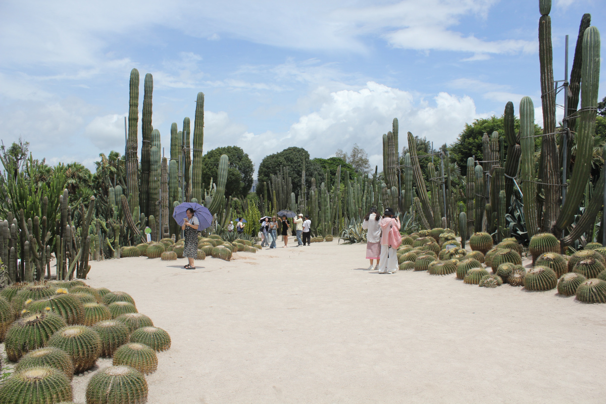 Botanical Garden in Xiamen