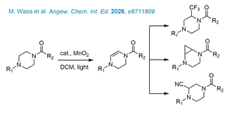 Oxidation of piperazine and functionalisation strategies.