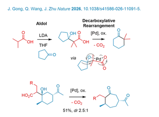 Aldol reaction and decarboxylative rearrangement lead to the ketone homologation product.
