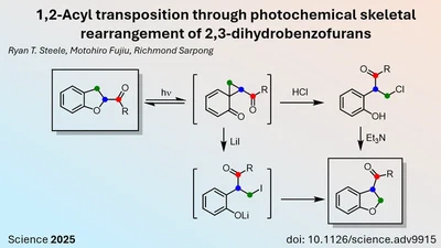 New Method for Skeletal Rearrangement Enhances the Organic Chemist's Toolbox featured image