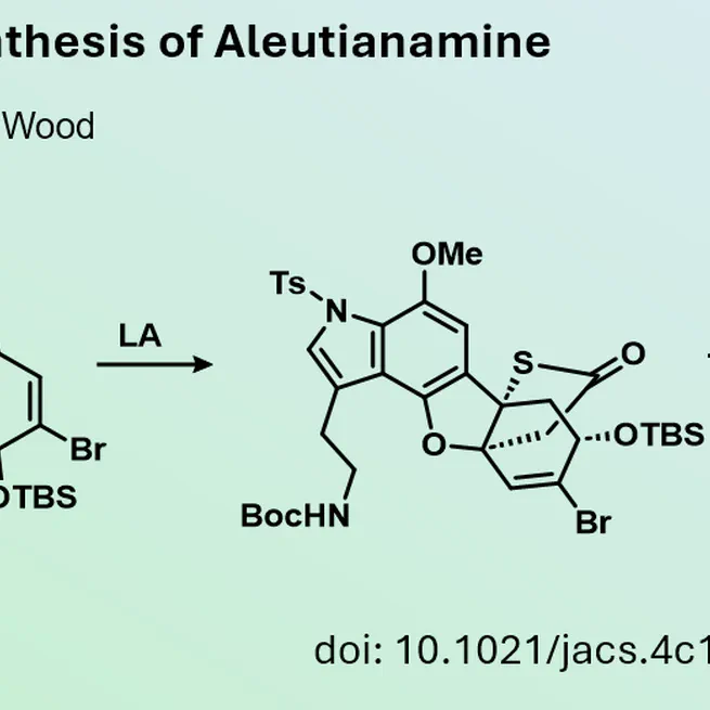 Novel Synthetic Approach for the Synthesis of Pyrroloiminoquinones