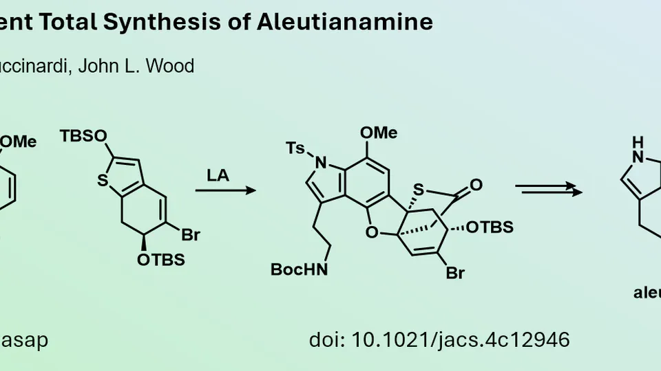 Novel Synthetic Approach for the Synthesis of Pyrroloiminoquinones