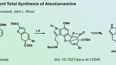 Novel Synthetic Approach for the Synthesis of Pyrroloiminoquinones featured image