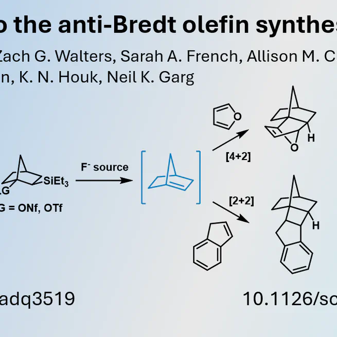 Exploring Anti-Bredt Olefins as Reactive Intermediates