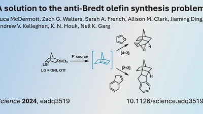 Exploring Anti-Bredt Olefins as Reactive Intermediates featured image