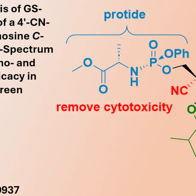 Novel remdesivir type nucleoside analogue displays broad-spectrum antiviral activity