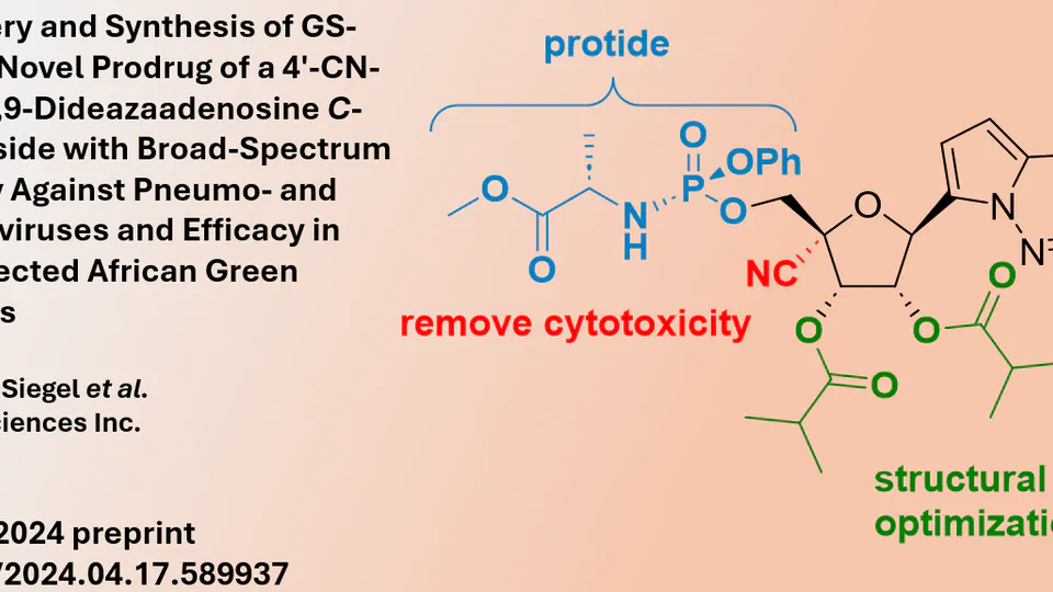 Novel remdesivir type nucleoside analogue displays broad-spectrum antiviral activity