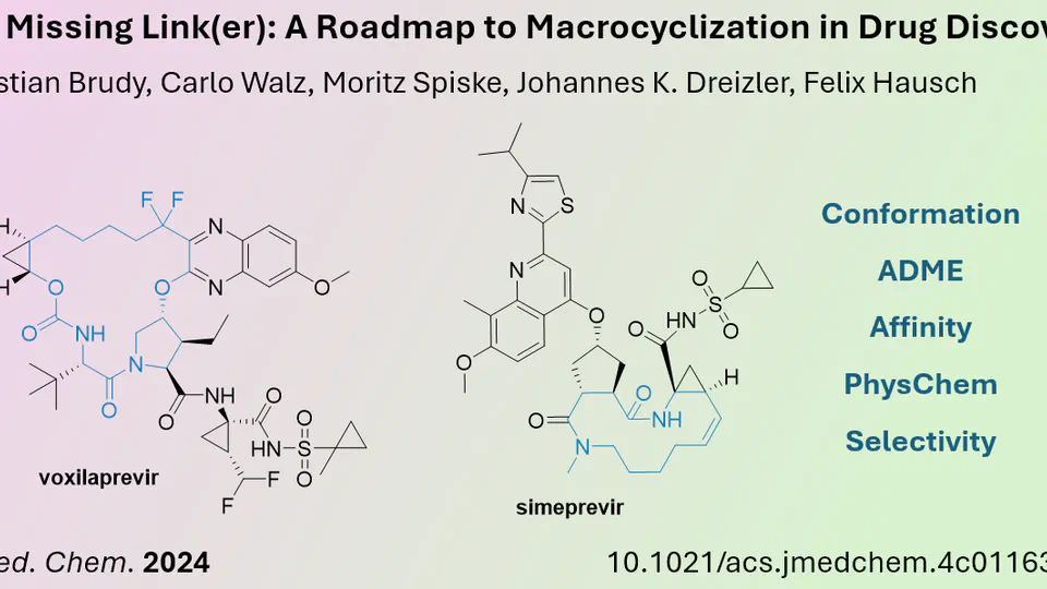 Macrocycles can lock the Conformation of Drug Candidates and enhance their Activity