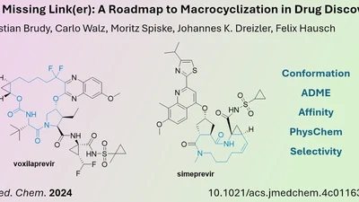 Macrocycles can lock the Conformation of Drug Candidates and enhance their Activity featured image