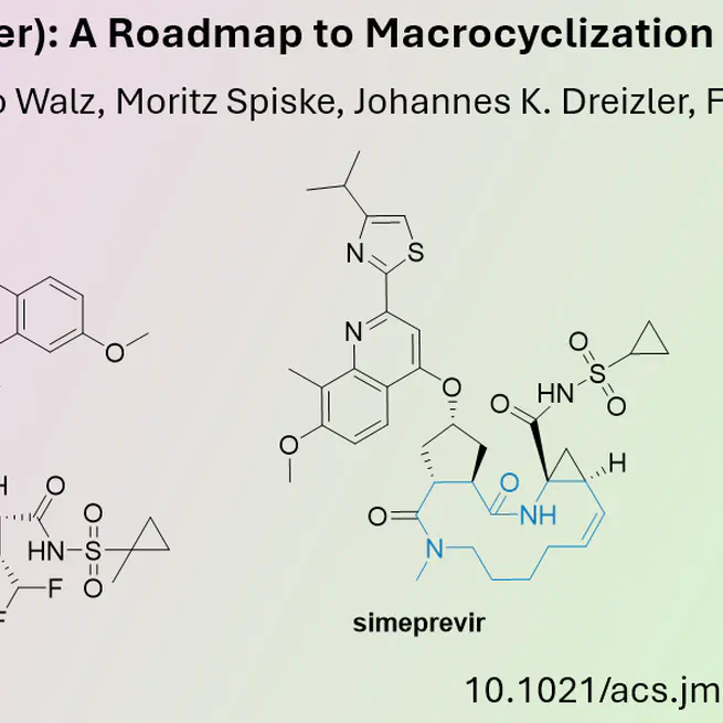 Macrocycles can lock the Conformation of Drug Candidates and enhance their Activity