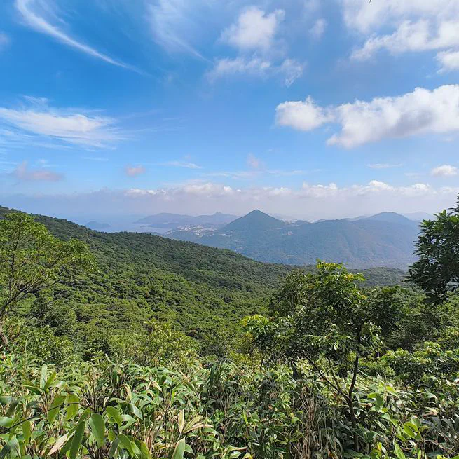 A Day in Nature: Hiking Ma On Shan Country Park