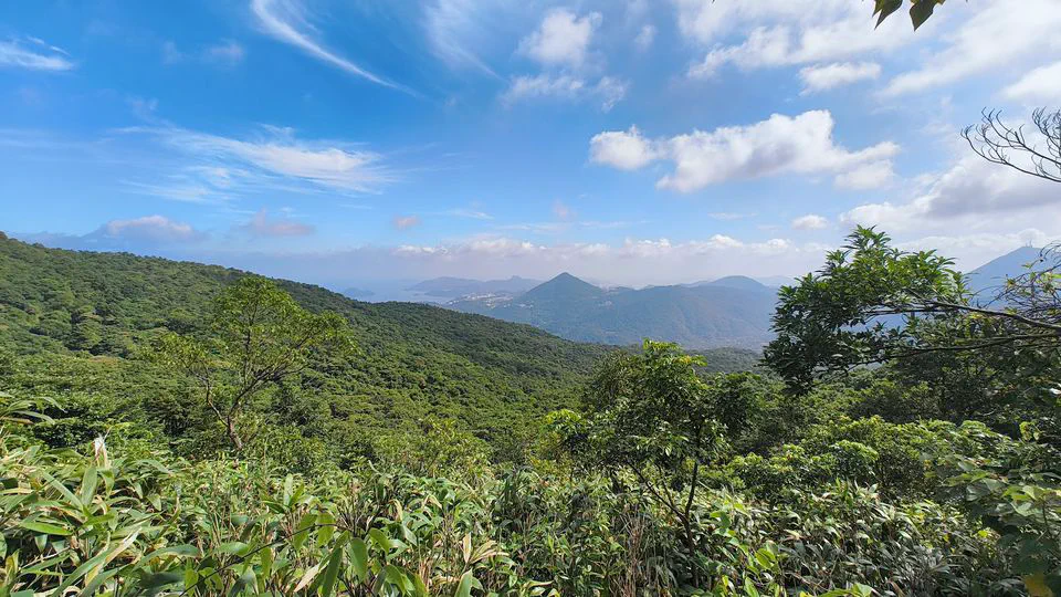 A Day in Nature: Hiking Ma On Shan Country Park