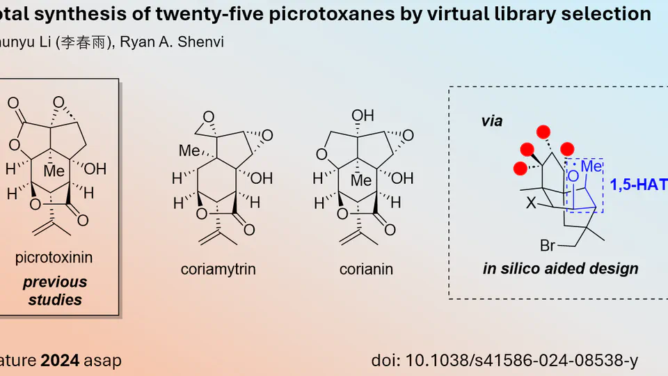 Computer aided Total Synthesis of 25 Picrotoxanes (Li, Shenvi)