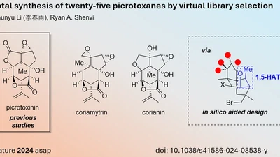 Computer aided Total Synthesis of 25 Picrotoxanes (Li, Shenvi) featured image