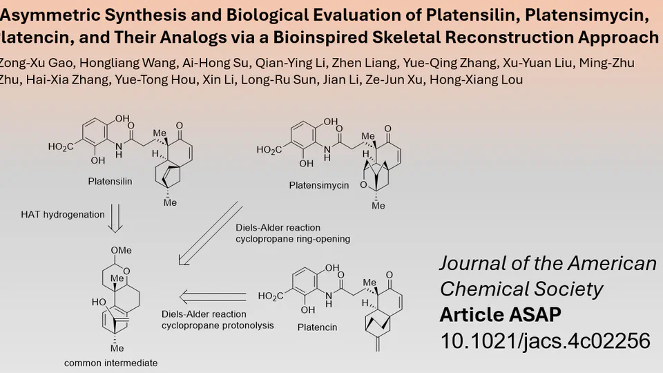 Novel Synthesis Route to Platensilin and Analogues