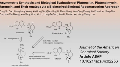 Novel Synthesis Route to Platensilin and Analogues featured image