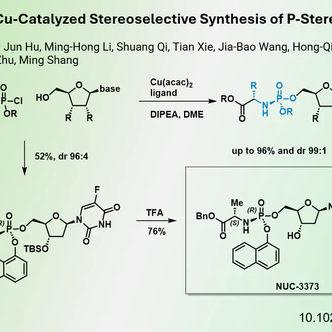 Efficient Synthesis of Chiral ProTides through Copper Catalysis