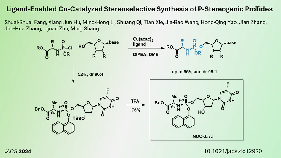 Efficient Synthesis of Chiral ProTides through Copper Catalysis