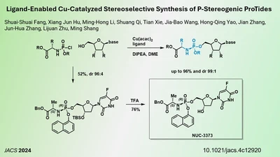 Efficient Synthesis of Chiral ProTides through Copper Catalysis featured image