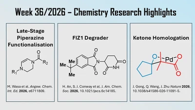 Chemistry Research Updates: Late-Stage Functionalisation, Molecular Glue & Ketone Homologation featured image