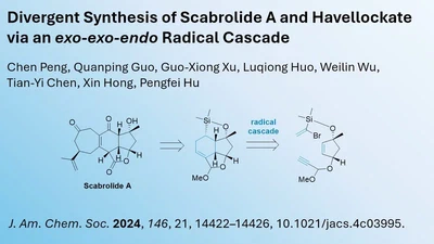 My Reading Tip of the Week: Total Synthesis of Scabrolide A by Radical Cascade featured image