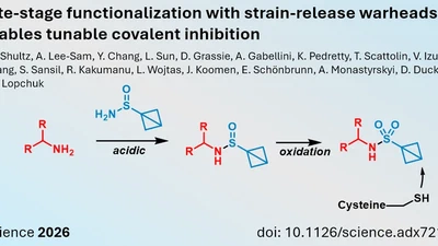 Novel type warheads expand toolbox for covalent inhibitors featured image