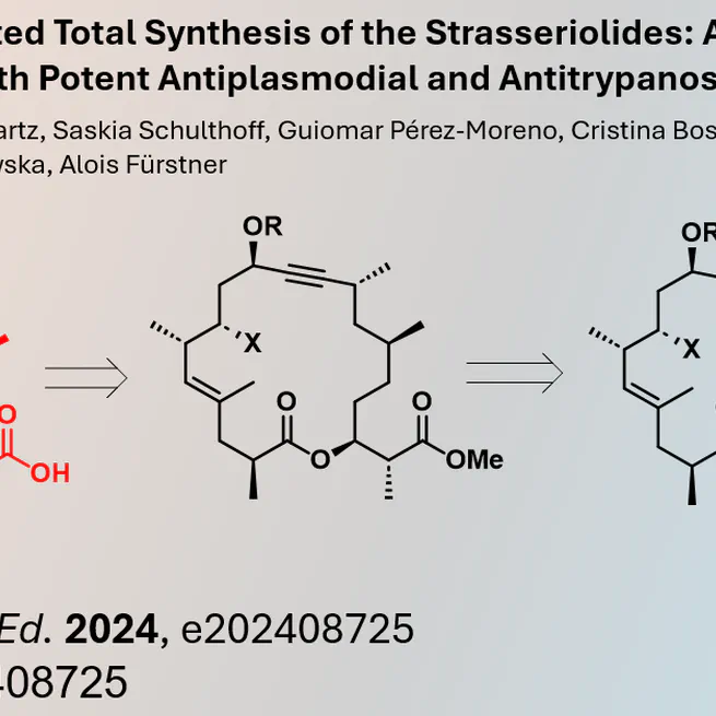 Ring Closing Alkyne Metathesis allows unified Synthesis of Strasseriolides A to D