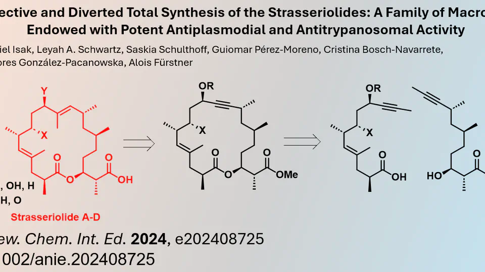 Ring Closing Alkyne Metathesis allows unified Synthesis of Strasseriolides A to D