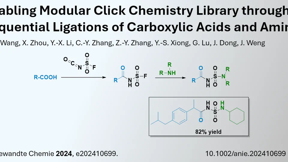 Synthesis of Drug Libraries using Sulfamide Linker Strategy