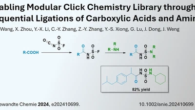 Synthesis of Drug Libraries using Sulfamide Linker Strategy featured image