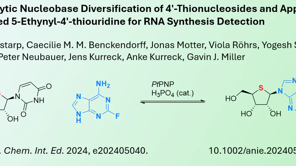 Biocatalytic diversification of thionucleoside analogues