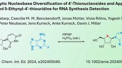 Biocatalytic diversification of thionucleoside analogues featured image