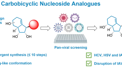 Novel Nucleoside Analogues to Combat Emerging Diseases featured image