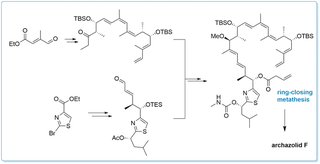 Total synthesis of archazolid F