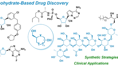 Carbohydrate‐based drug discovery: Synthetic strategies and clinical applications featured image